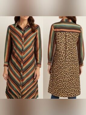 Fashion Express  USA Multicolor Chevron & Leopard-Back Long Sleeve Shirt Dress
